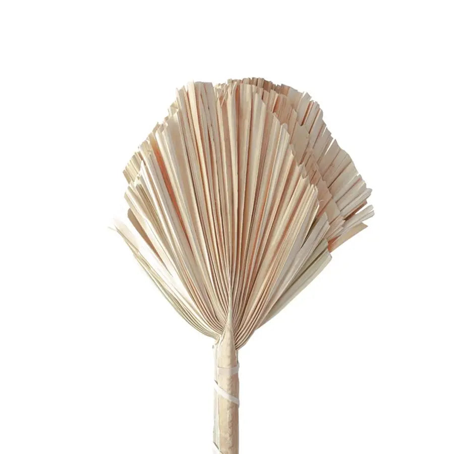 Palm PetalDriven