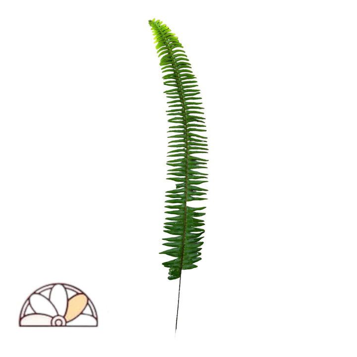 Swordfern