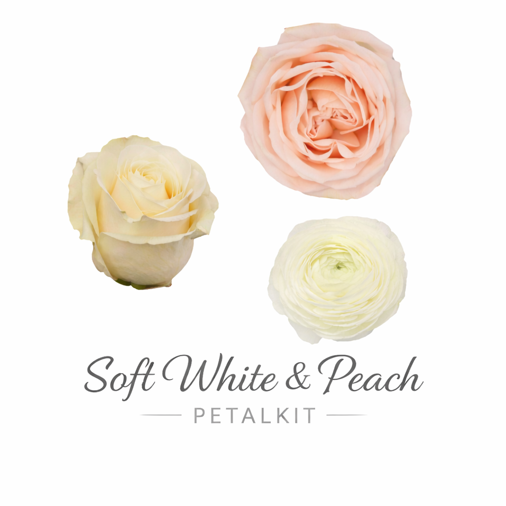 Soft White and Peach PetalKit - PetalDriven
