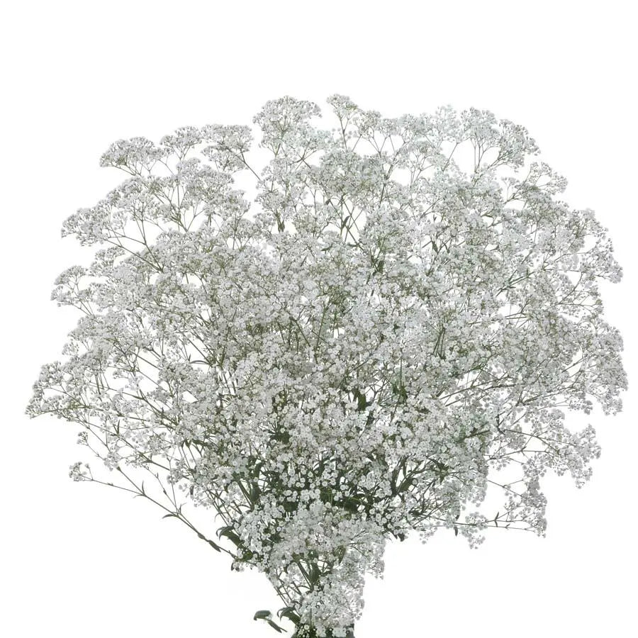 ベイビーリーフ Mainstays 12 inch Artificial Baby's Breath Flower Pick