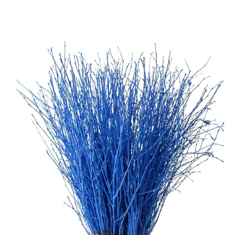 Betula Pendula Blue - 10 Bunches