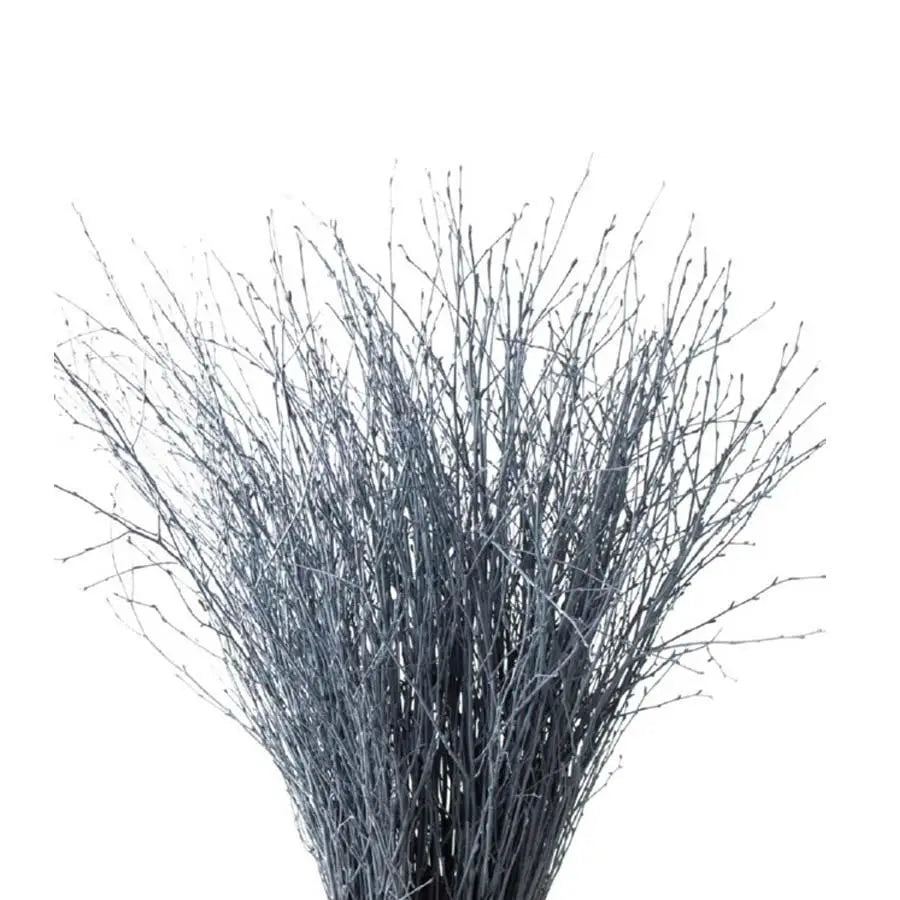 Betula Pendula Gray - 10 Bunches