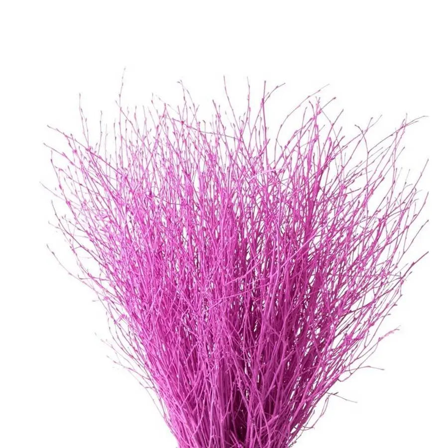 Betula Pendula Hot Pink - 10 Bunches