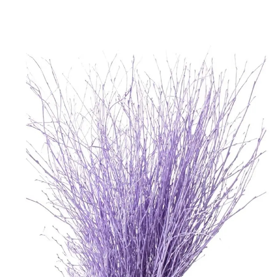 Betula Pendula Lavender - 10 Bunches