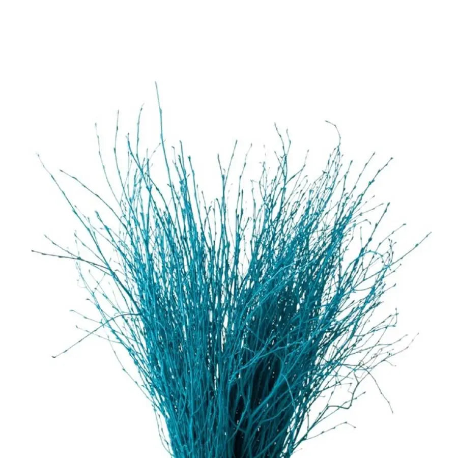 Betula Pendula Turquoise - 10 Bunches