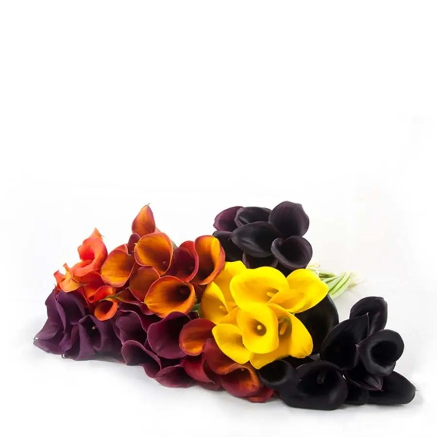 Calla Lily Fall Assorted Colors Holex Dutch