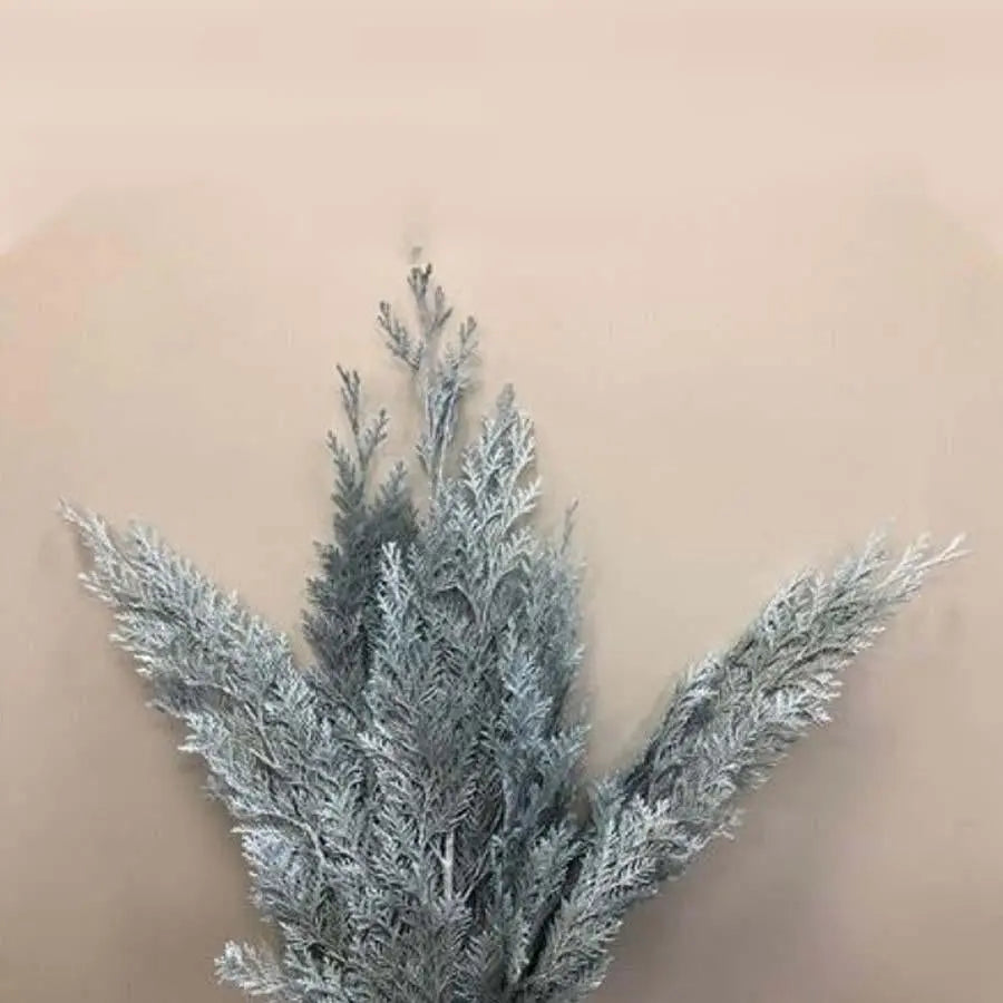 Chamaecyparis Painted Light Blue - 50 Stem Bunch