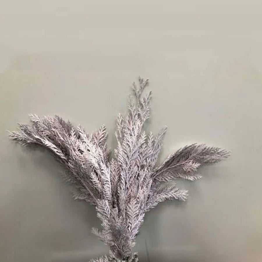 Chamaecyparis Painted Light Pink - 50 Stem Bunch