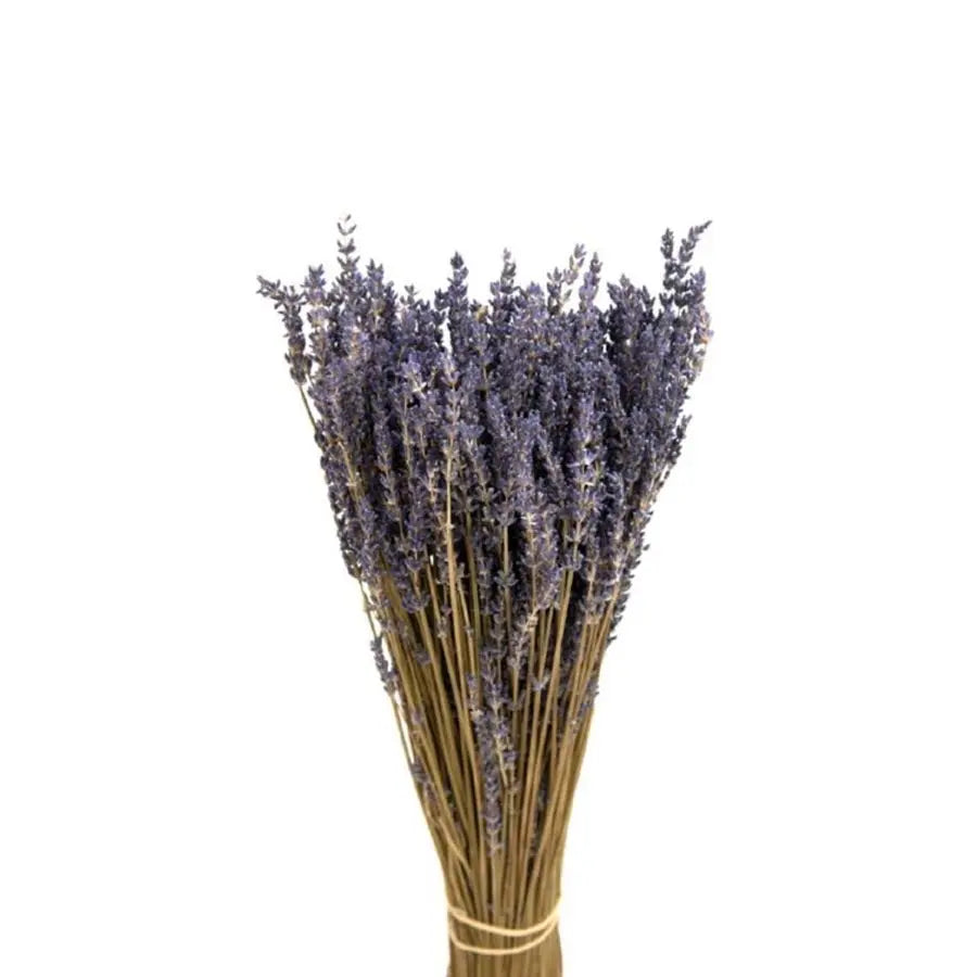 Dried flowers, dried lavender, bunches, petal confetti: Daisyshop