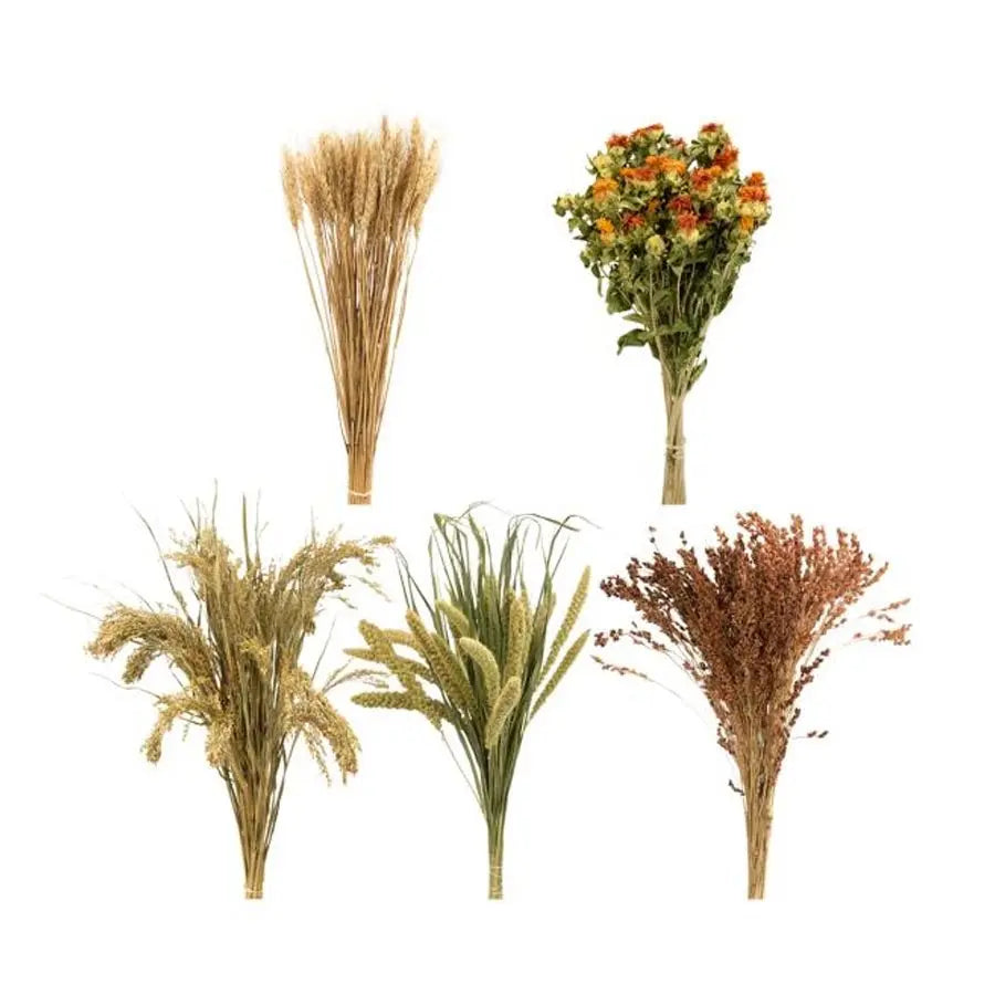 Dried Grains Mix Box - 25 Boxes