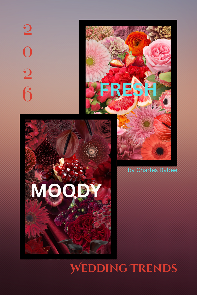 2026: The Year of Total Opposite Wedding Vibes Owning the “I Do’s”