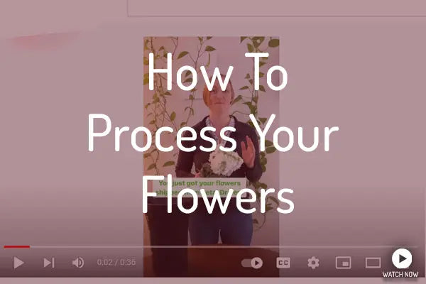 How-to-Process-Your-Flowers PetalDriven