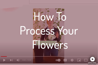 How to Process Your Flowers