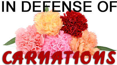 In Defense of Carnations