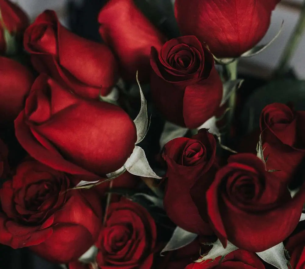 The-Meaning-of-Rose-Colors PetalDriven