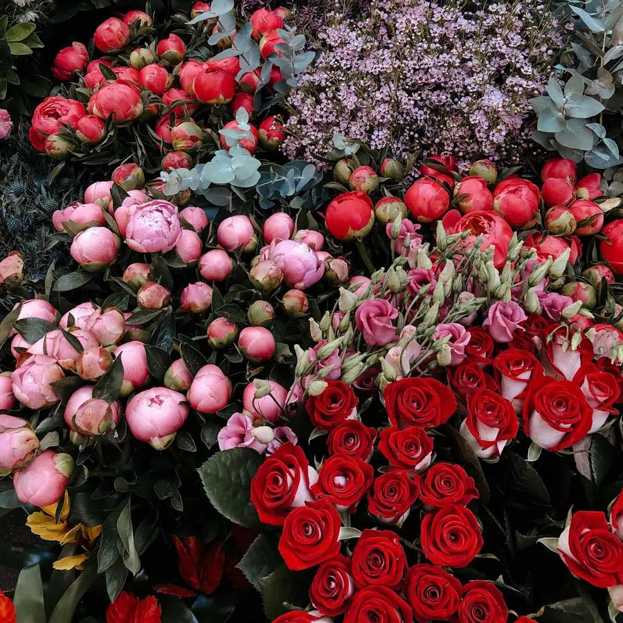 Bulk-Flowers PetalDriven