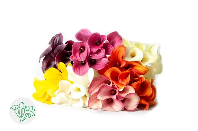Calla-Lily PetalDriven
