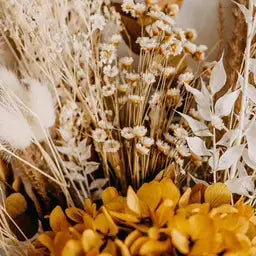 Dried-and-Painted PetalDriven
