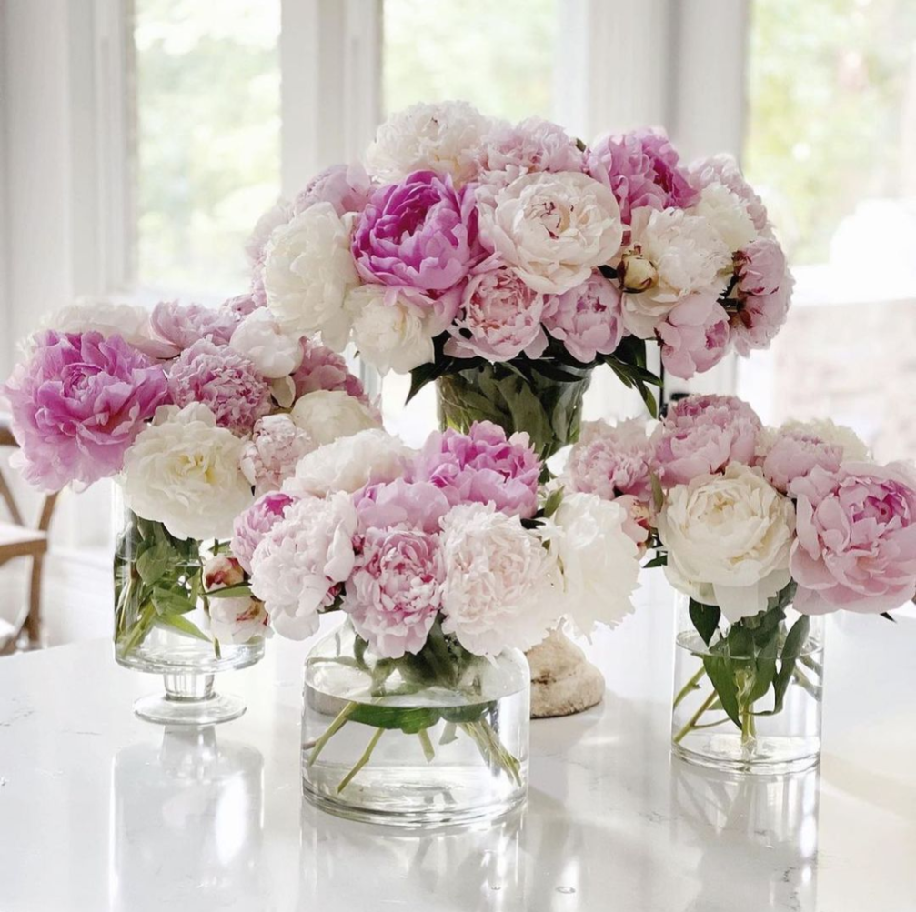 Peony