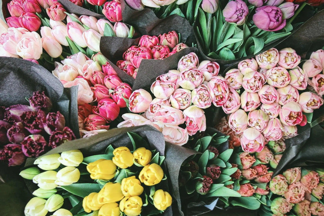 Specials PetalDriven