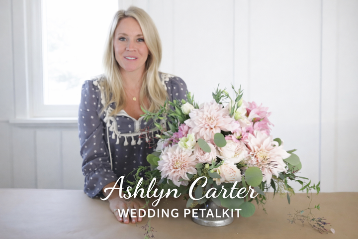 Ashlyn Carter Wedding PetalKit