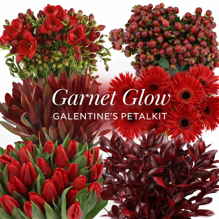 Garnet Glow Galentine's PetalKit