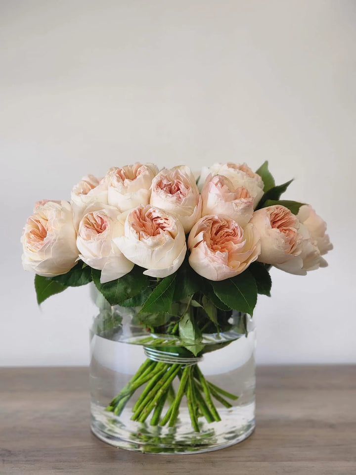 Garden Rose Juliet (David Austin) Holex Dutch