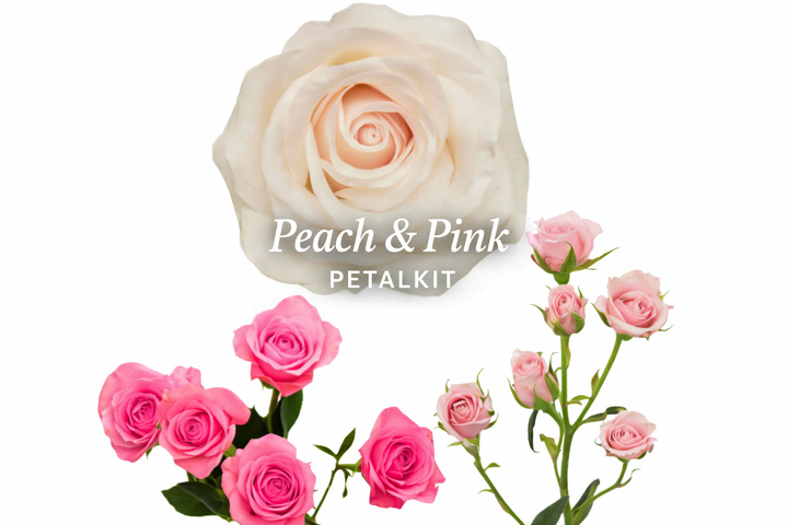 Peach & Pink PetalKit