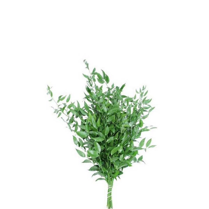 Blush & Bone Wedding PetalKit