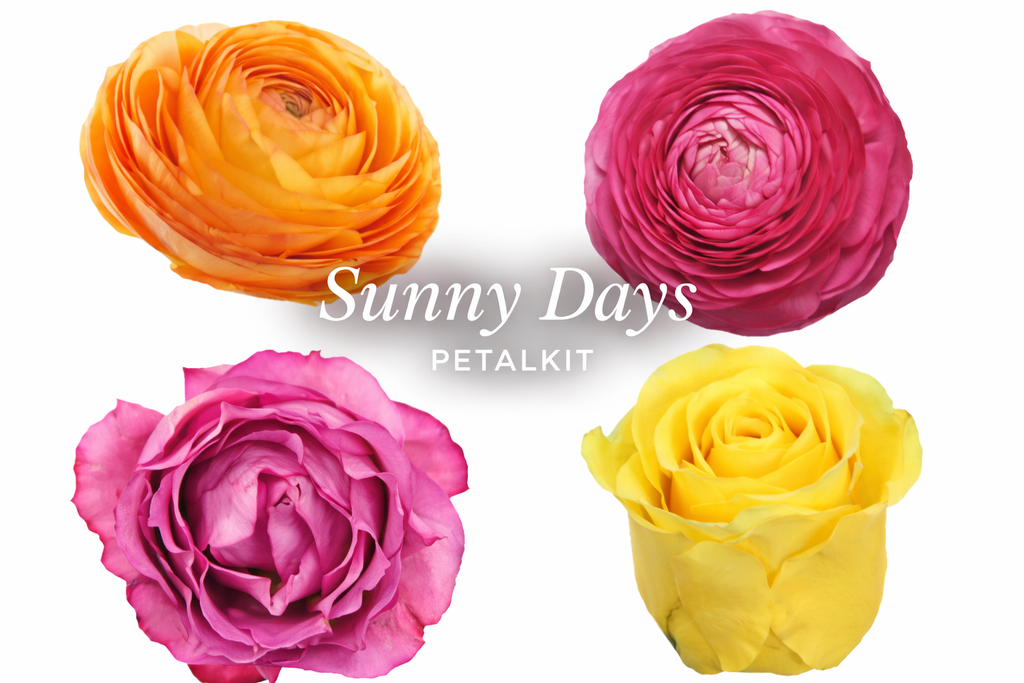 Sunny Days PetalKit - PetalDriven