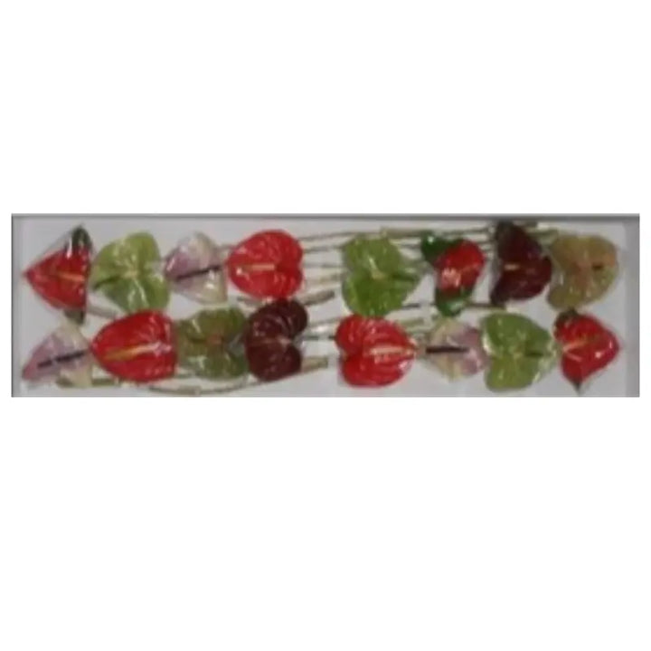 Anthurium Assorted Colors 13cm - 12 Stem Pack Holex Dutch
