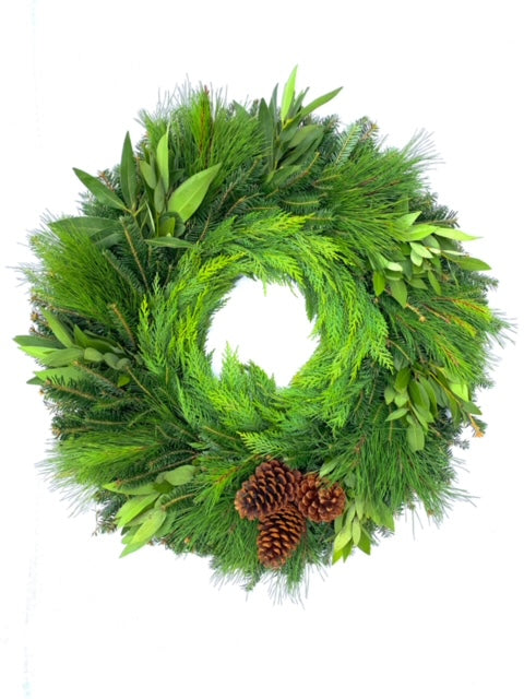 Home For the Holidays – PetalDriven