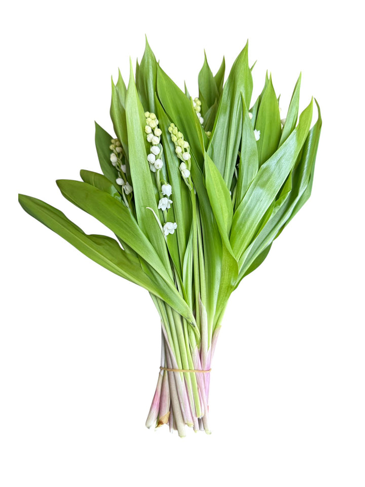 Lily of the Valley - 25 Stem Bunch