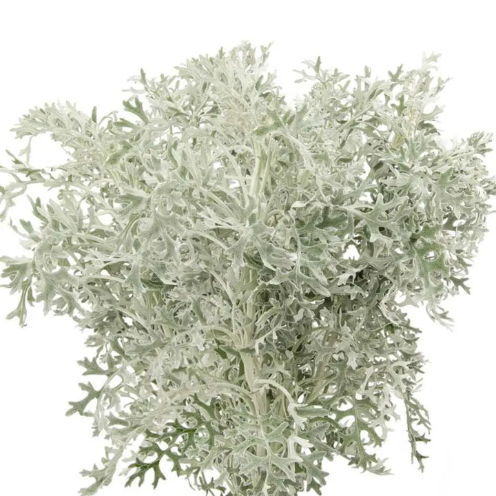 Ashlyn Carter Wintery White Floral Arrangements - Tutorial Included PetalDrivenCom