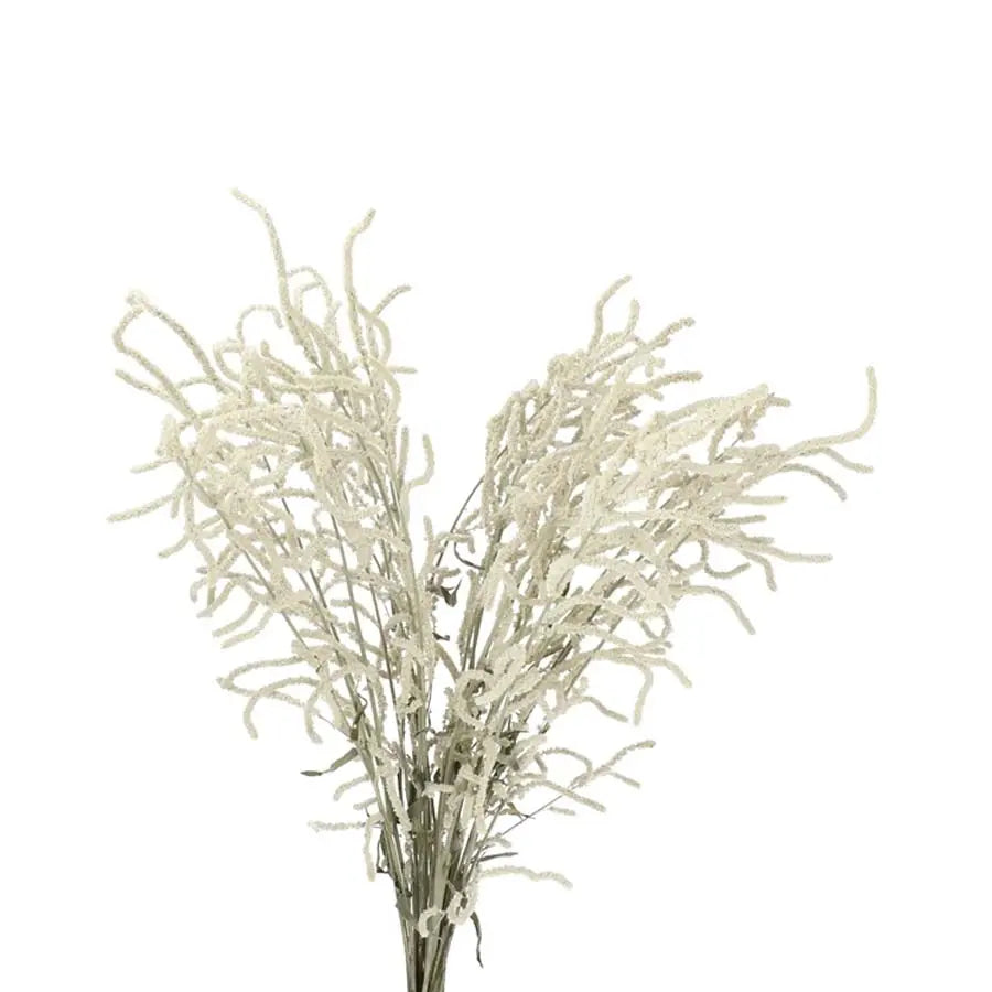 The Desert: Desert Flowers in Cream The Desert: Desert Flowers in Cream