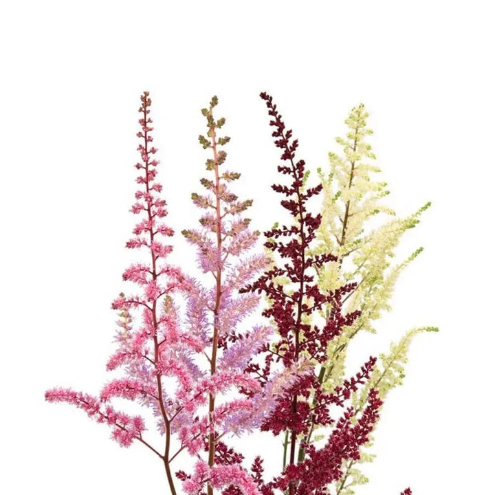Astilbe Assorted - 100 Stems