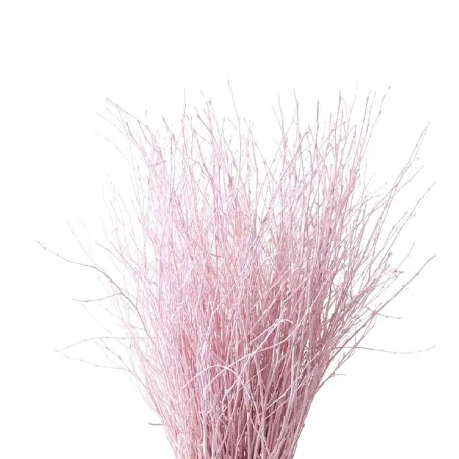 Betula Pendula Light Pink - 10 Bunches