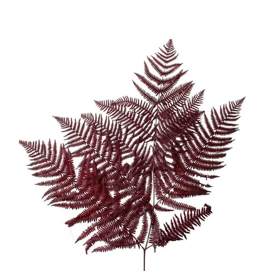 Bracken Fern Burgundy