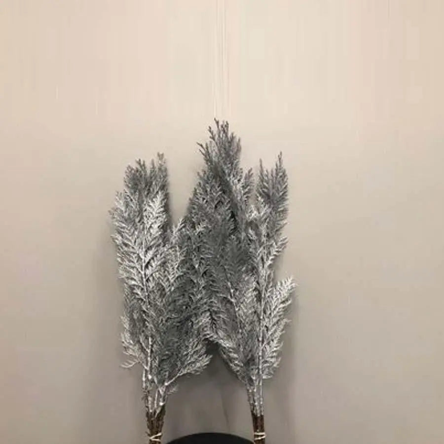 Chamaecyparis Painted Silver - 50 Stem Bunch 