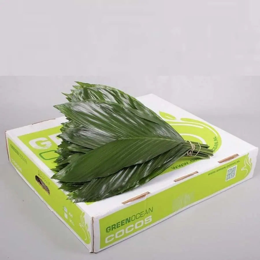 Cocos Green Ocean - 5 Bunches