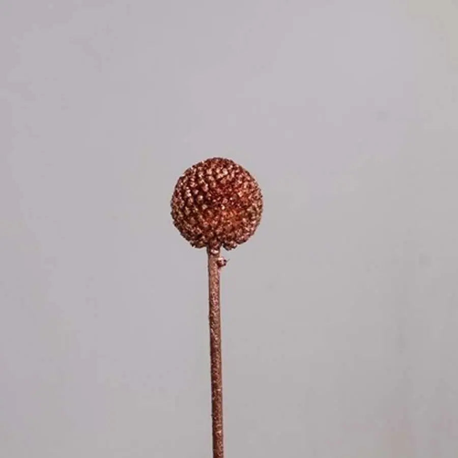 Billy Balls - 50 Stem Bunch