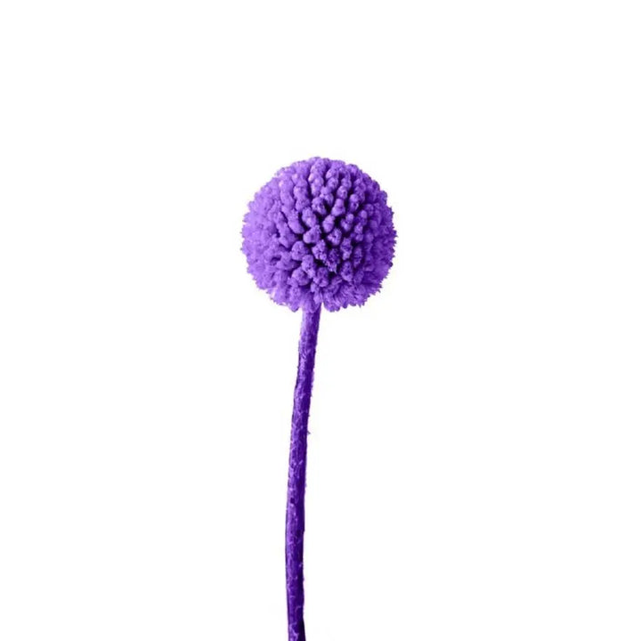 Billy Balls - 50 Stem Bunch