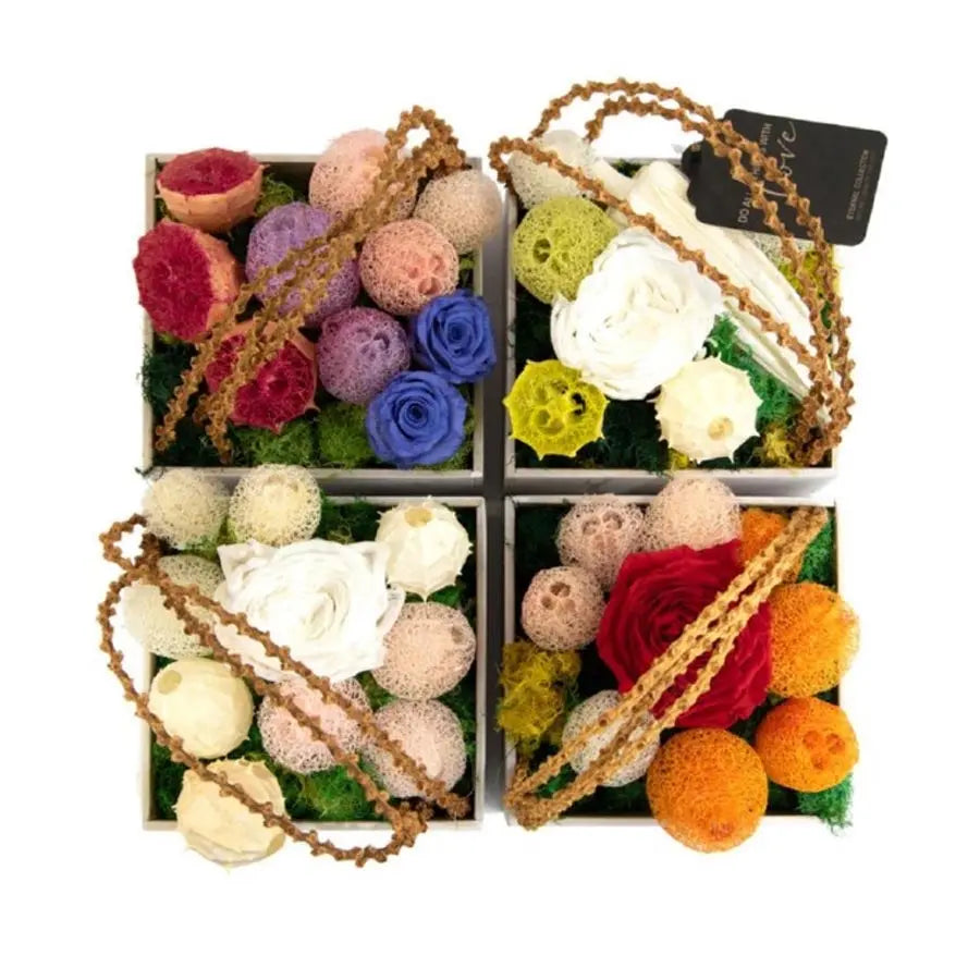 Dried Eternal Assorted -  10 Boxes