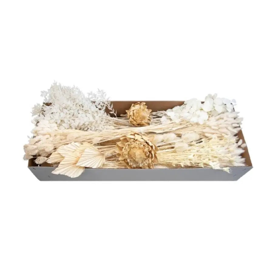 Dried Italian Bleached Box - 24  Bunches