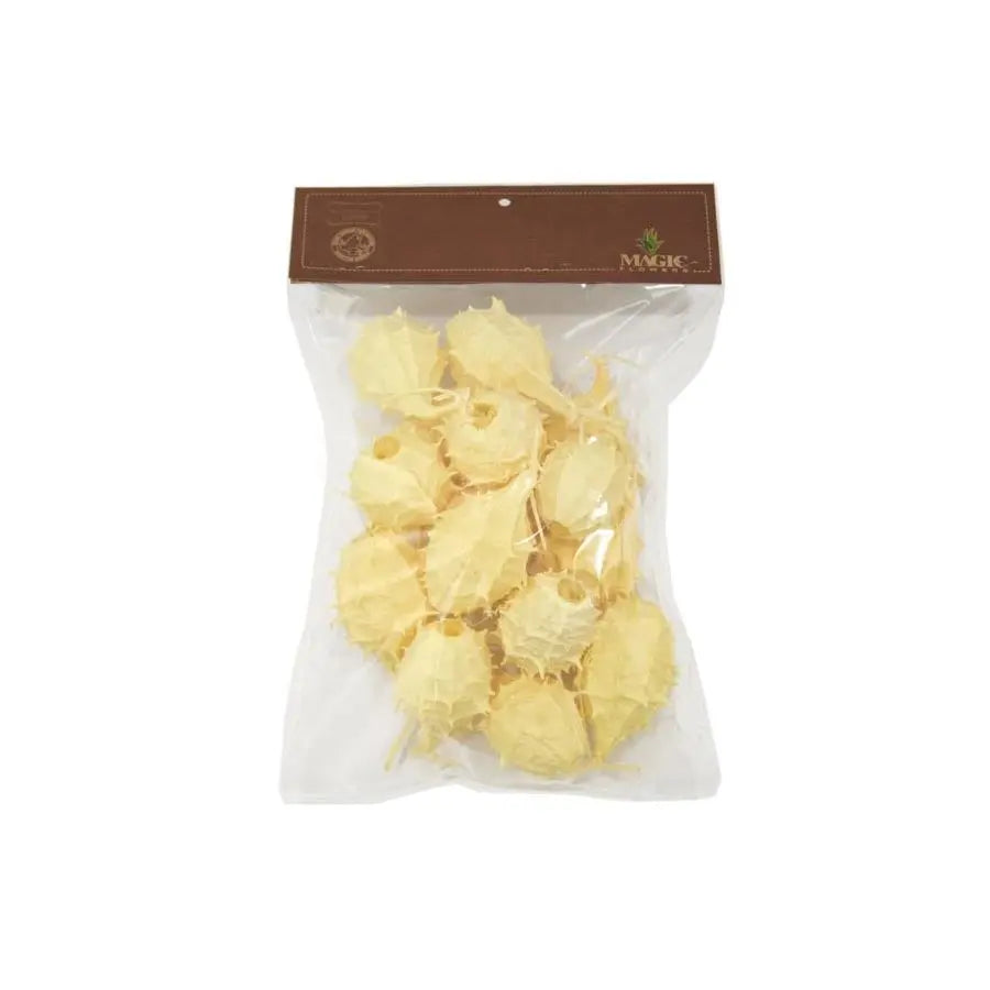 Dried Whole Loofah Bleached - 112 Loofahs