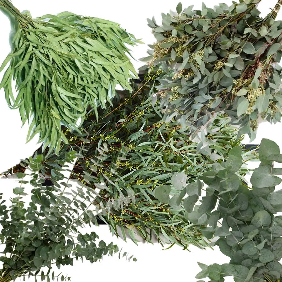 Eucalyptus Custom Box - 5 Bunches PetalDrivenCom