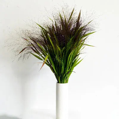 Explosion Grass