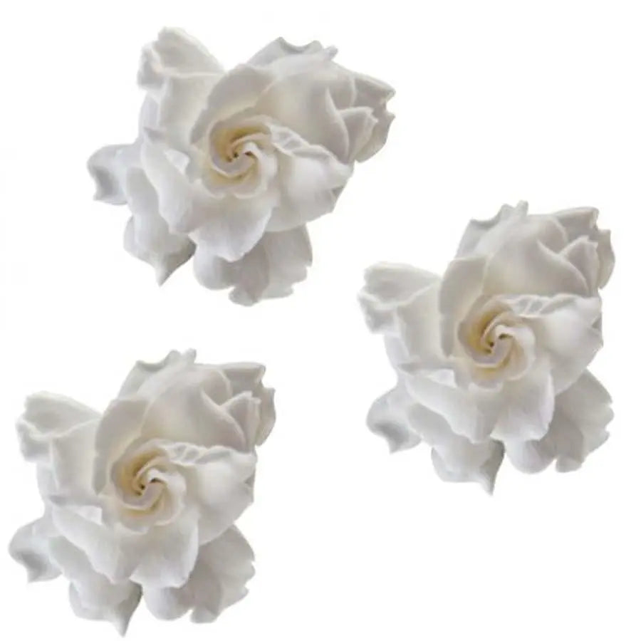 Gardenia White Dried - 3 Blooms