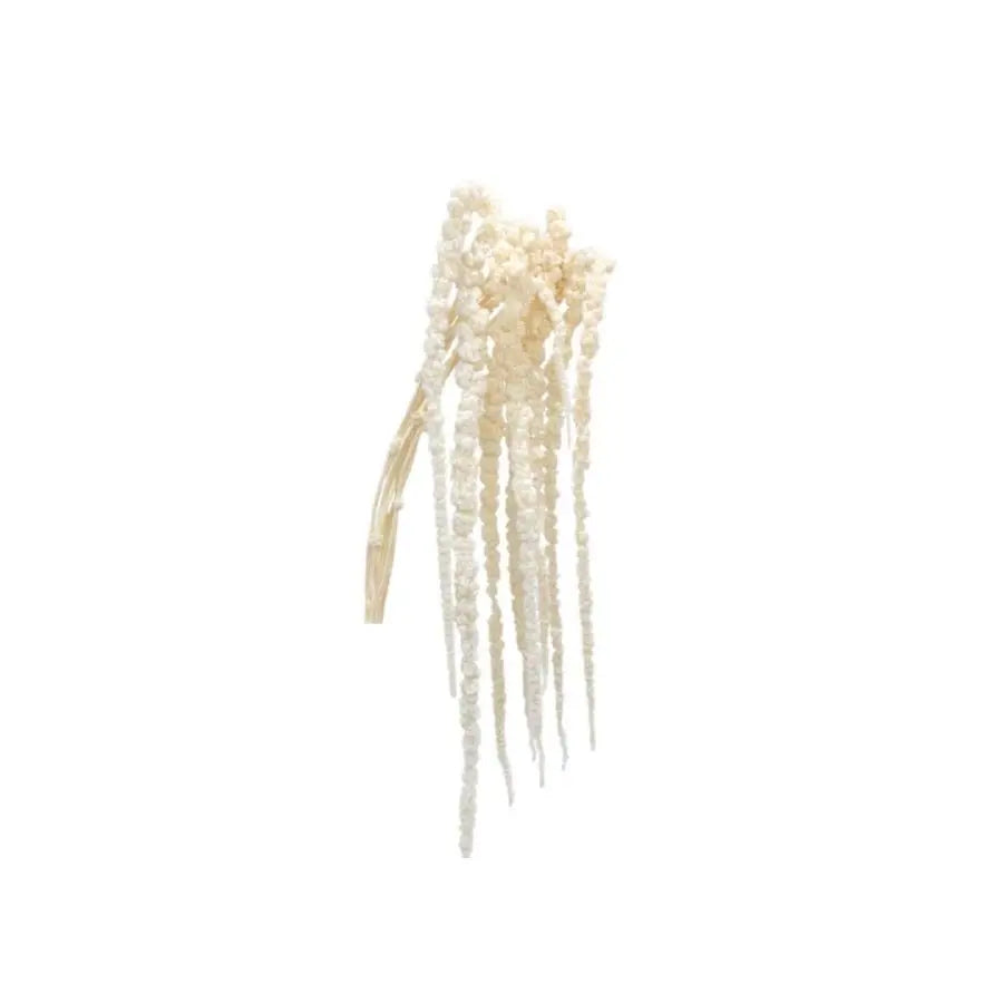 Dried Amaranthus Hanging Bleached - 100 Stems