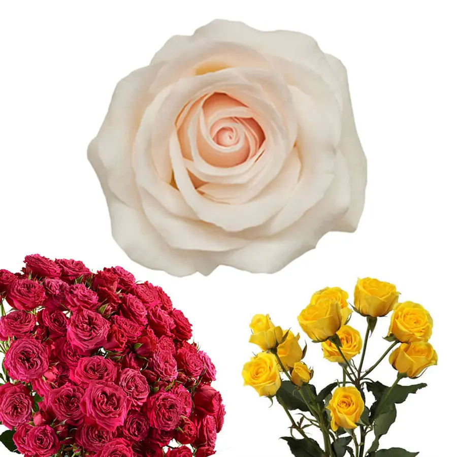 Hot Pink, Blush, & Yellow PetalKit PetalDrivenCom